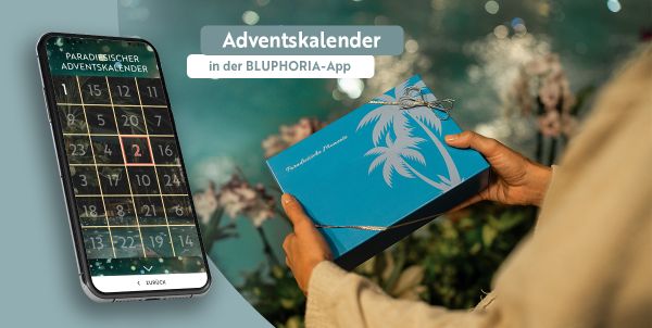 Adventskalender in der Bluphoria App