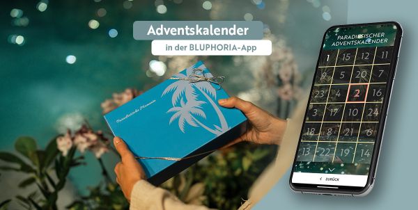 Adventskalender in der BLUPHORIA App