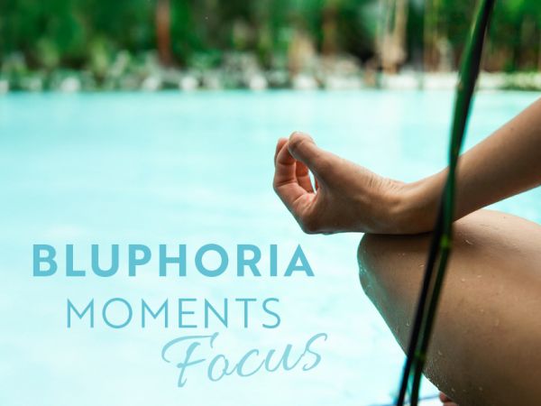 Teaserbild Bluphoria Moments Focus