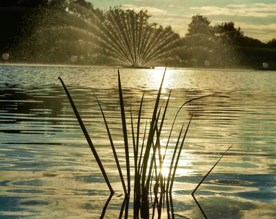 Blick auf den Natursee der Thermen & Badewelt Euskirchen